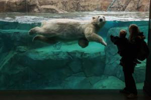 Stacey Wescott/Chicago Tribune/TNS