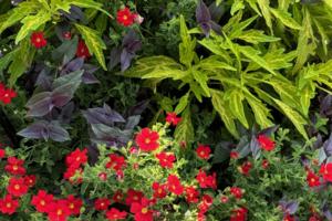 Norman Winter/Norman Winter/TNS