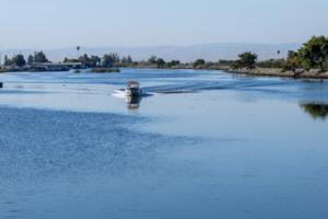 Brian van der Brug/Los Angeles Times/TNS