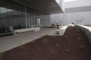 Stacey Wescott/Chicago Tribune/TNS