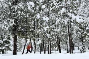 Ray Chavez/Bay Area News Group/TNS