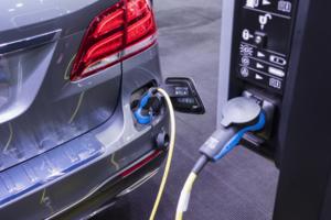 Dreamstime/Dreamstime/TNS