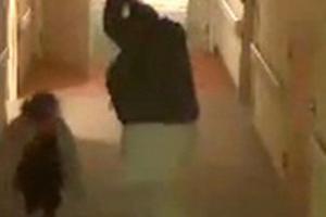 The Minnesota Star Tribune/Star Tribune/TNS