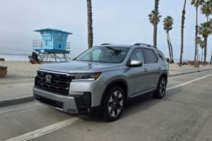 Henry Payne/The Detroit News/TNS