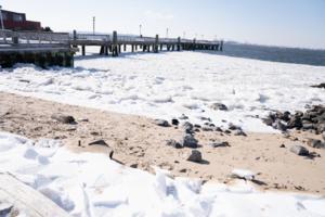 Theodore Parisienne/New York Daily News/TNS