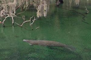 Marjie Lambert/Miami Herald/TNS