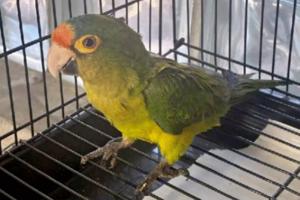 U.S. Department of Justice/U.S. Department of Justice/TNS