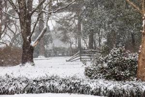 Tracy Kimball/Rock Hill Herald/TNS