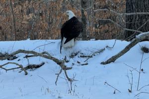 Kentucky State Parks/Kentucky State Parks/TNS