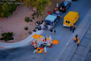 Liv Paggiarino/Las Vegas Review-Journal/TNS