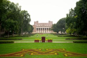 Alex Kormann/Star Tribune/TNS