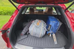 Henry Payne, The Detroit News/The Detroit News/TNS