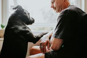 Some people appreciate relationships with pets to combat loneliness – but others simply prefer dogs' company. Catherine Falls Commercial/Moment via Getty Images