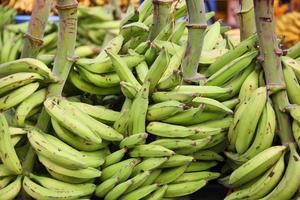 Plantains may be enjoyed in each stage of ripeness from green to yellow and ripest black. (Dreamstime/TCA)