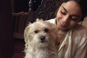 Bang Showbiz / Vanessa Hudgens is devastated after having Darla put down