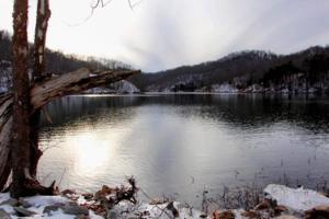 Austin R. Ramsey/Lexington Herald-Leader/TNS