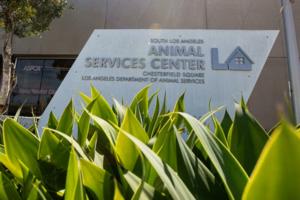 Jason Armond/Los Angeles Times/TNS