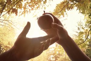 Original sin. Dreamstime/TCA