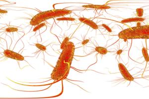 Kateryna Kon/Dreamstime/TNS