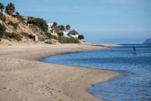 Brian van der Brug/Los Angeles Times/TNS