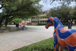 James Hartley/Star-Telegram/TNS