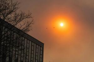 Emily Curiel/Kansas City Star/TNS