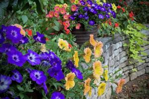 Norman Winter/Norman Winter/TNS