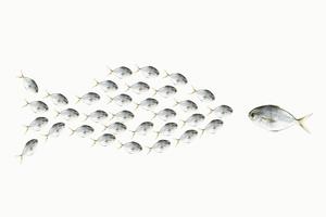 A need to be seen as the biggest fish may stem from pride and insecurity. ballyscanlon via Getty Images