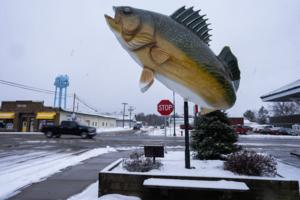 Richard Tsong-Taatarii/Minnesota Star Tribune/TNS
