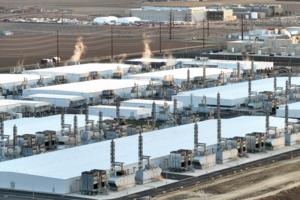 Karen Ducey/The Seattle Times/TNS