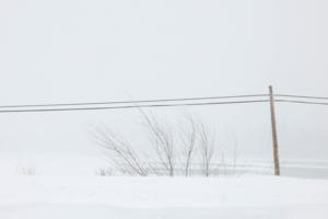 Ray Chavez/Bay Area News Group/TNS