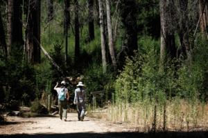 Dai Sugano/Bay Area News Group/TNS