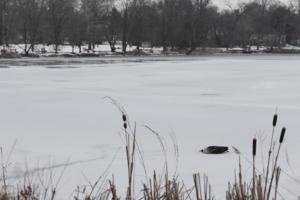 Elizabeth Robertson/The Philadelphia Inquirer/TNS