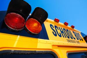 Michael Flippo/Dreamstime/TNS