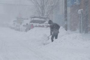 Gardiner Anderson/New York Daily News/TNS