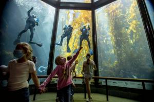 Robert Gauthier/Los Angeles Times/TNS