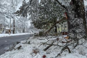 Josh Davis/Baltimore Sun/TNS