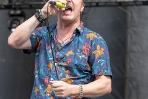 Bang Showbiz / Mike Patton has addressed the status of Faith No More