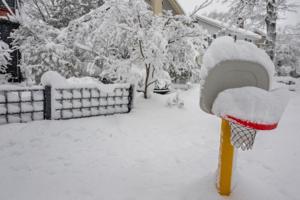 Tom Gralish/The Philadelphia Inquirer/TNS