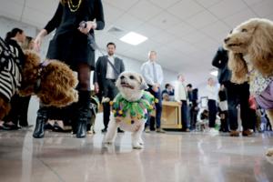 Anna Moneymaker/Getty Images North America/TNS