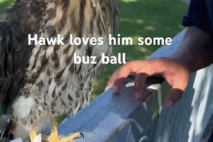 California Department of Fish and Wildlife/TNS/TNS