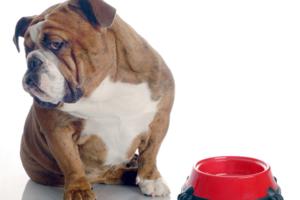 Willeecole/Dreamstime/TNS