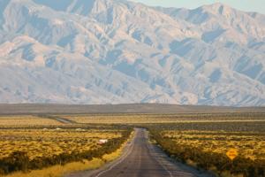 Mario Tama/Getty Images North America/TNS