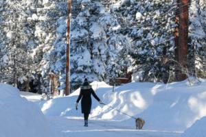 Ray Chavez/Bay Area News Group/TNS