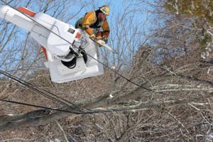 Matt Stone/Boston Herald/TNS