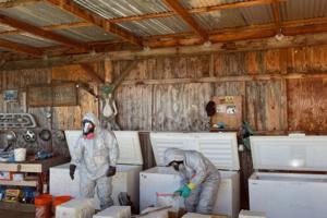 Calaveras County Sheriff’s Office/TNS/TNS