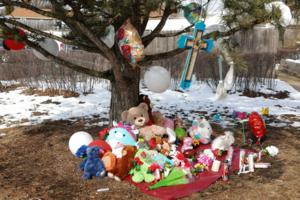 Stacey Wescott/Chicago Tribune/TNS