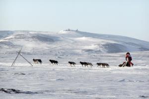 Anvil Mountain/AFP/Getty Images North America/TNS
