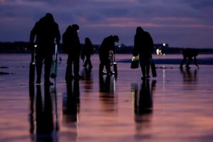 Jennifer Buchanan/The Seattle Times/TNS