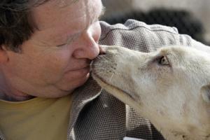 Carlos Chavez/Los Angeles Times/TNS